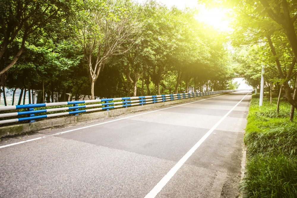 Tree-lined tarmac drive with white edge line