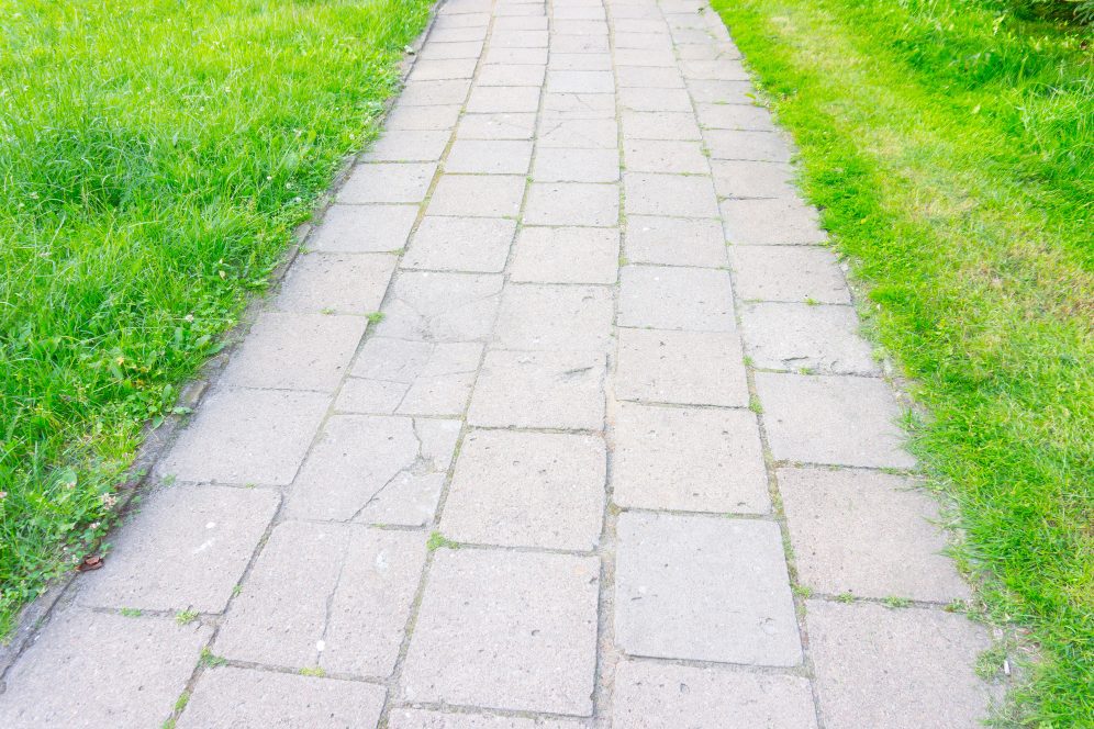 Natural stone slab path through lawn