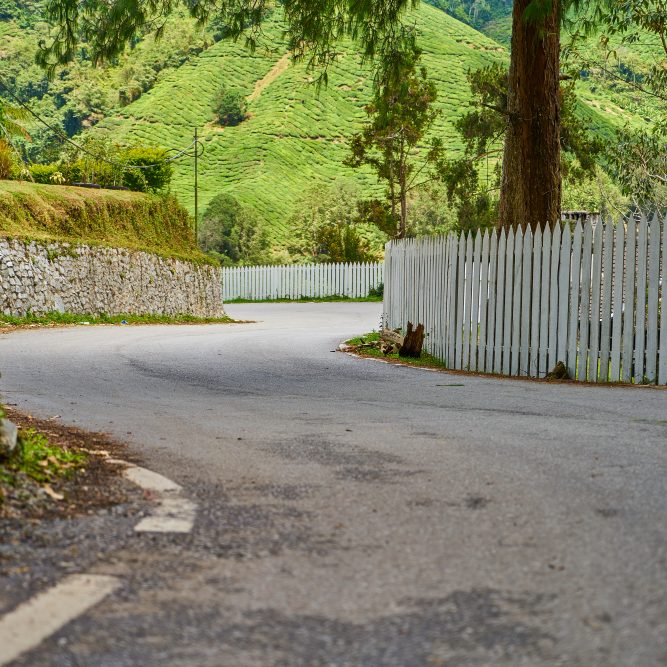 Tarmac drive curving beside a bank and fence