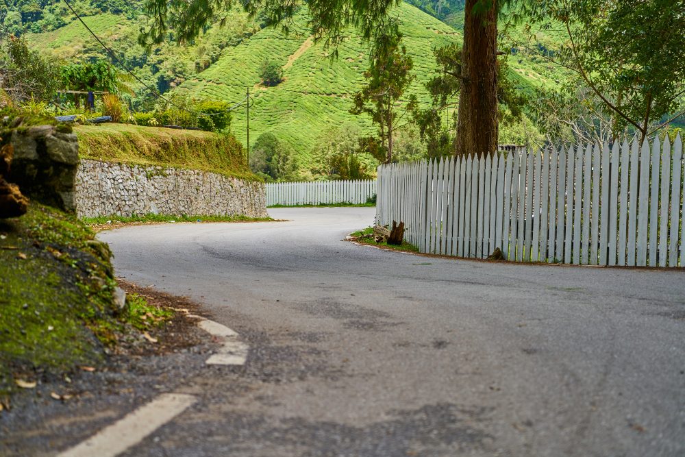 Tarmac drive curving beside a bank and fence