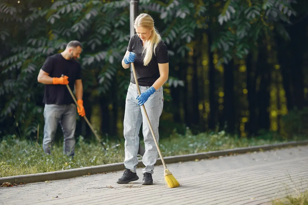 Driveway cleaning